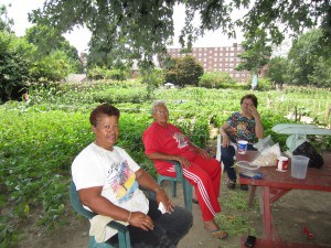 Community Garden