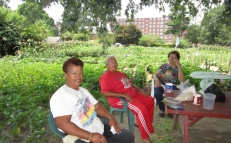 Community Gardening at Riverview Apartments