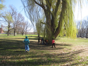 Children head towards the giant weeping willow trees at Springfield Housing Authority's Riverview Apartments.