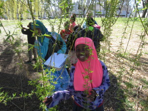 Yasmin Abdi, 9, peeks through willow branches on a nature walk at Springfield Housing Authority's Riverview Apartments.